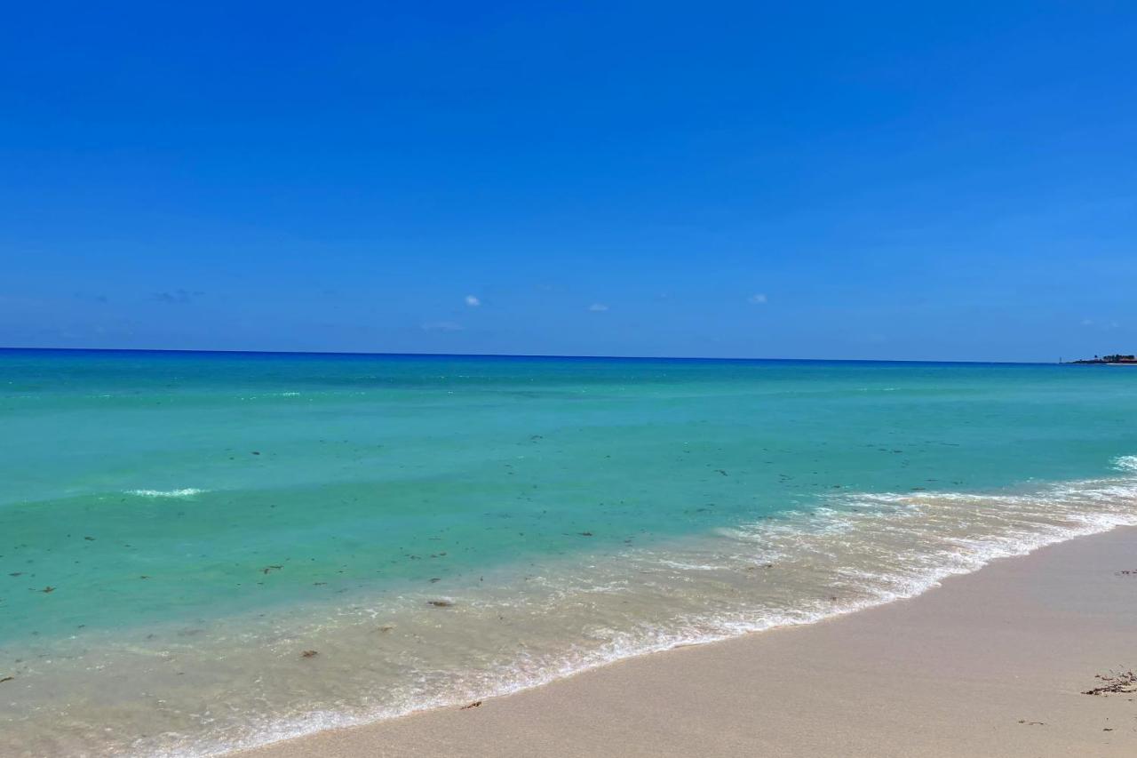 Renovated Studio In Cancun Beach At The Hotel Zone المظهر الخارجي الصورة