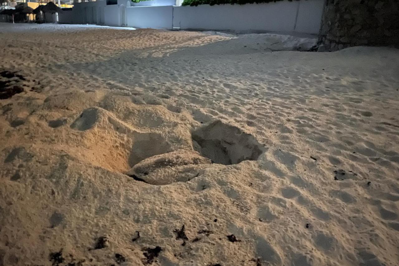 Renovated Studio In Cancun Beach At The Hotel Zone المظهر الخارجي الصورة